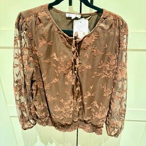 DR2 by Daniel Rainne Brown Lace Floral Blouse